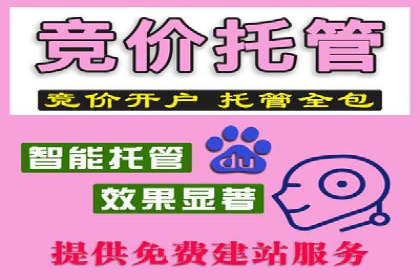 SEM账户托管助力企业市场拓展案例